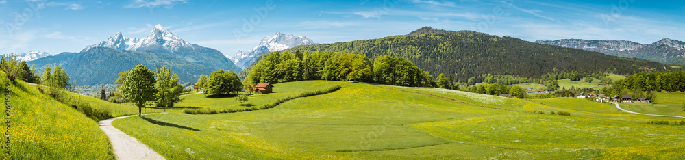 Idyllic spring landscape in the Alps with meadows and flowers