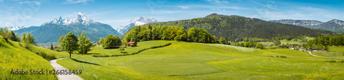 Obraz na plátne Idyllic spring landscape in the Alps with meadows and flowers