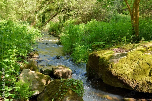 Photo Sentier le long d'un ruisseau en Bretagne.France