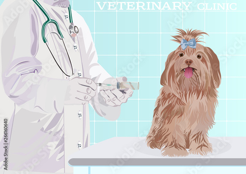 Veterinarian doctor. Dog on examination table in vet clinic. Vector cartoon illustration. Pets health care background.