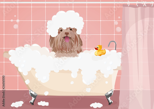 Cute dog taking a bath full of soap foam. Dog wash. Yellow rubber duck in bathtub. Grooming concept. Pink background.
