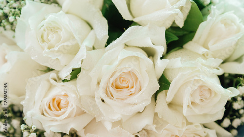 close up of white rose , bouquet of white rose