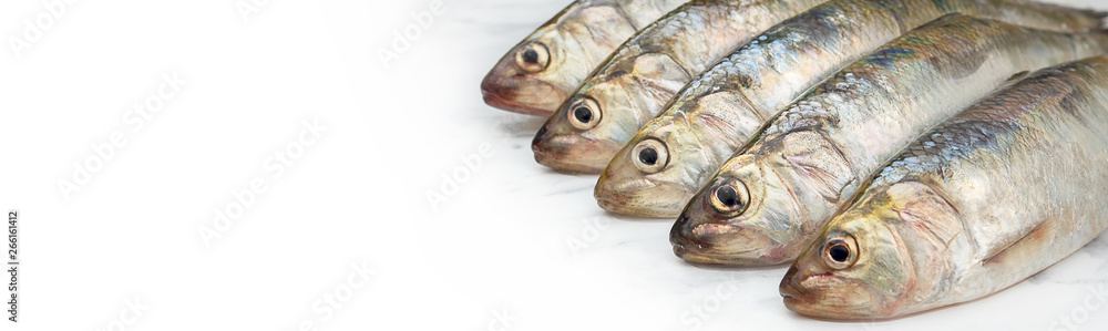 Fresh herring is a silver fish of great commercial importance as food fish in many parts of the world. Selective focus. Banner Fresh herring is a silver fish of great commercial importance as food fish in many parts of the world. Selective focus. Banner