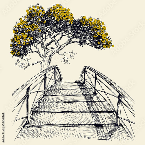 Wooden bridge arch, blooming tree in the background hand drawing vector