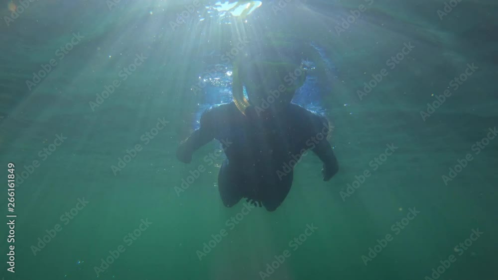 Underwater view of the young lady swimming in the blue wetsuit in the Turgoyak lake, Ural region, Russia Underwater view of the young lady swimming in the blue wetsuit in the Turgoyak lake, Ural region, Russia