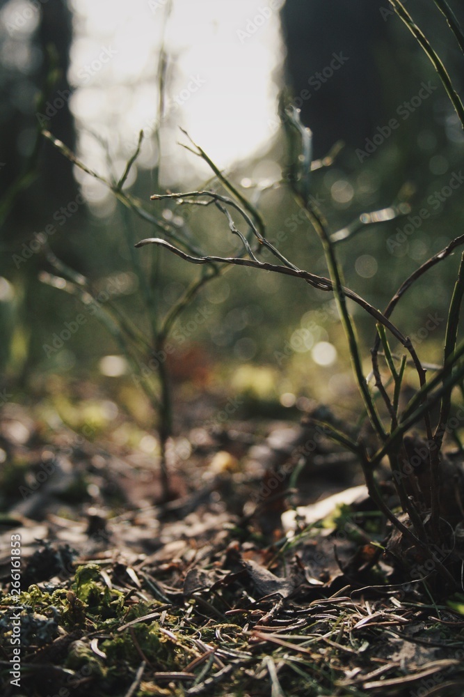 Processed with VSCO with hb2 preset Processed with VSCO with hb2 preset