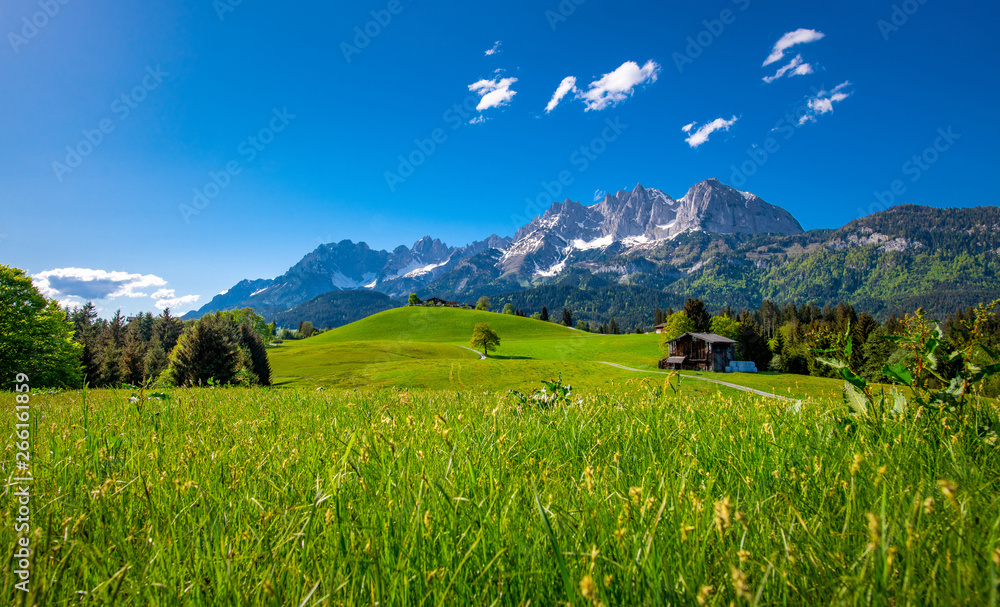 Idyllic alpine scenery, Kitzbühel, Tyrol, Austria