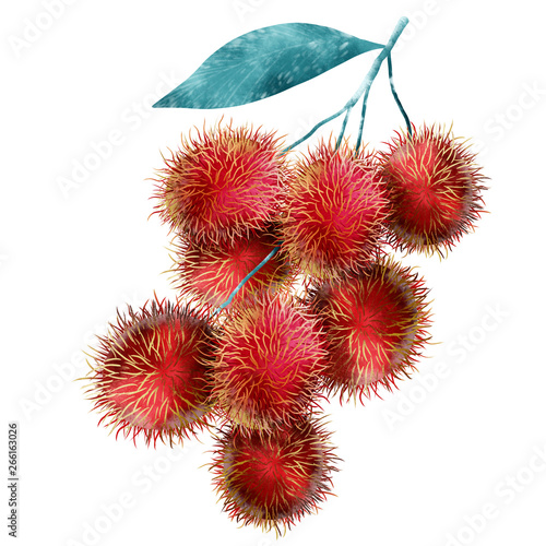 Red Rambutan Fruit