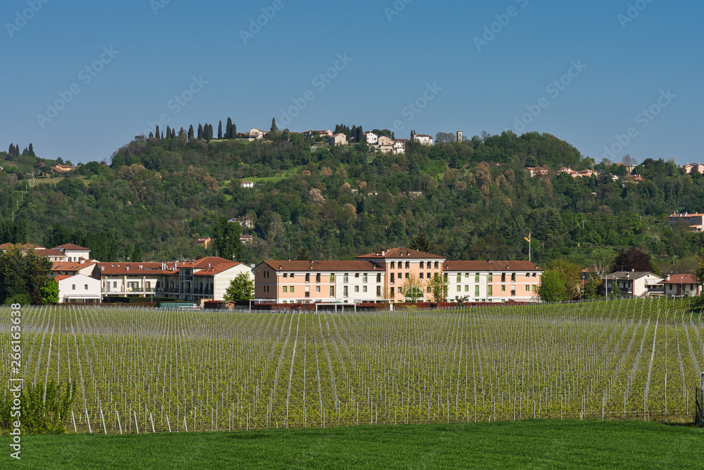 Beautiful countryside landscape in Altavilla Vicentina, Veneto, Italy