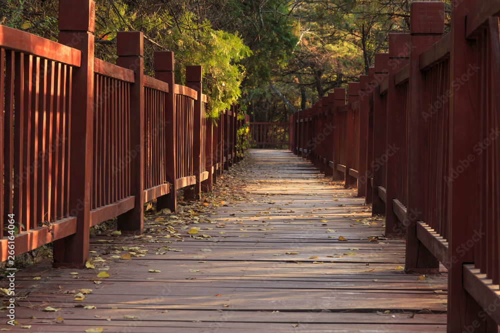 A typical view of the park in autumn