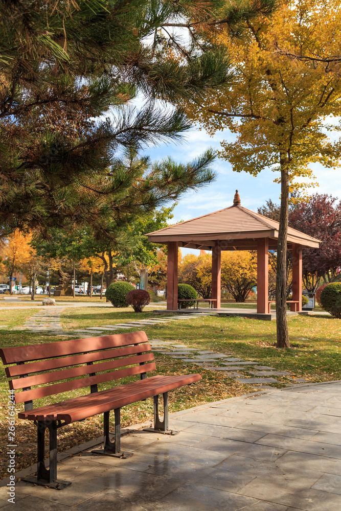 Obraz premium In the fall, park benches