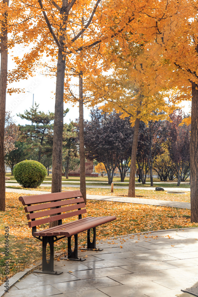 In the fall, park benches