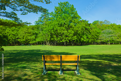 Park bench © Ray Park Stock Photo