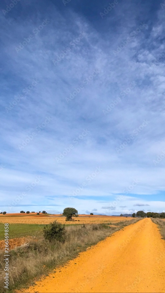 Fototapeta premium the way