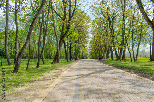 Fototapeta Naklejka Na Ścianę i Meble -  tracks in spring park landscape against blue sky