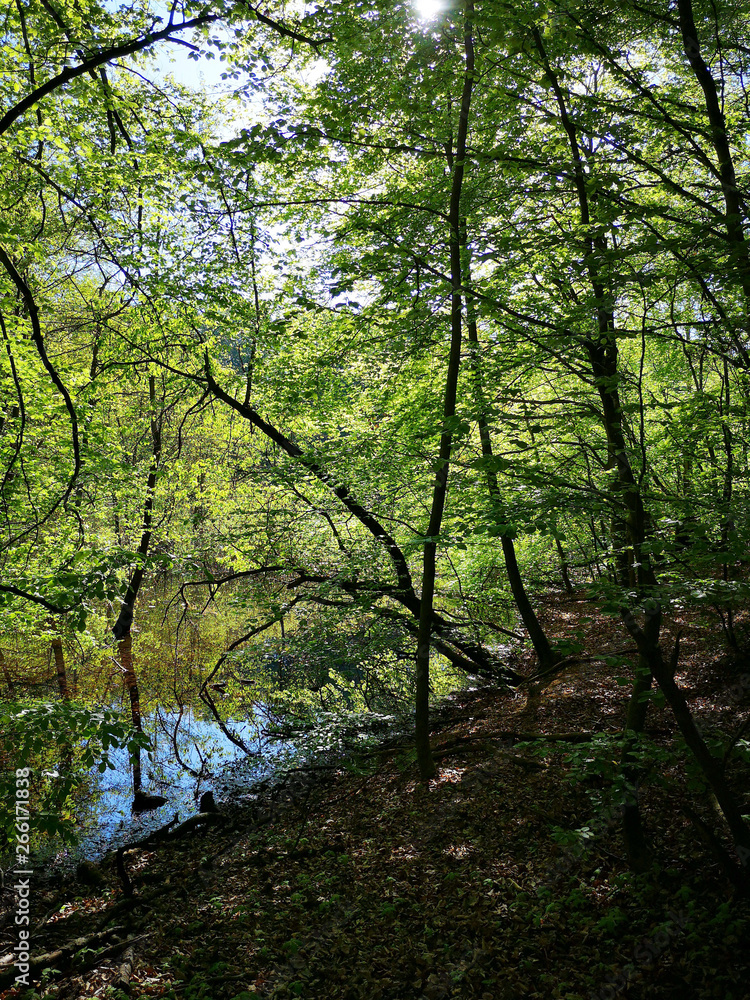 Naklejka premium Mai