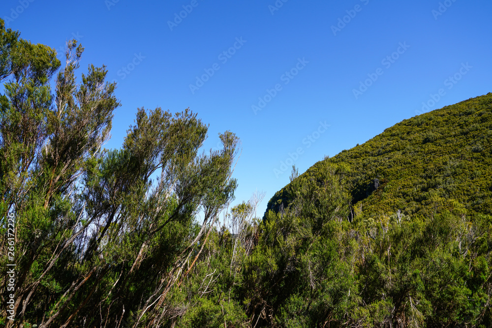Landscape in Madeira island in a sunny summer day with clear blue sky 
