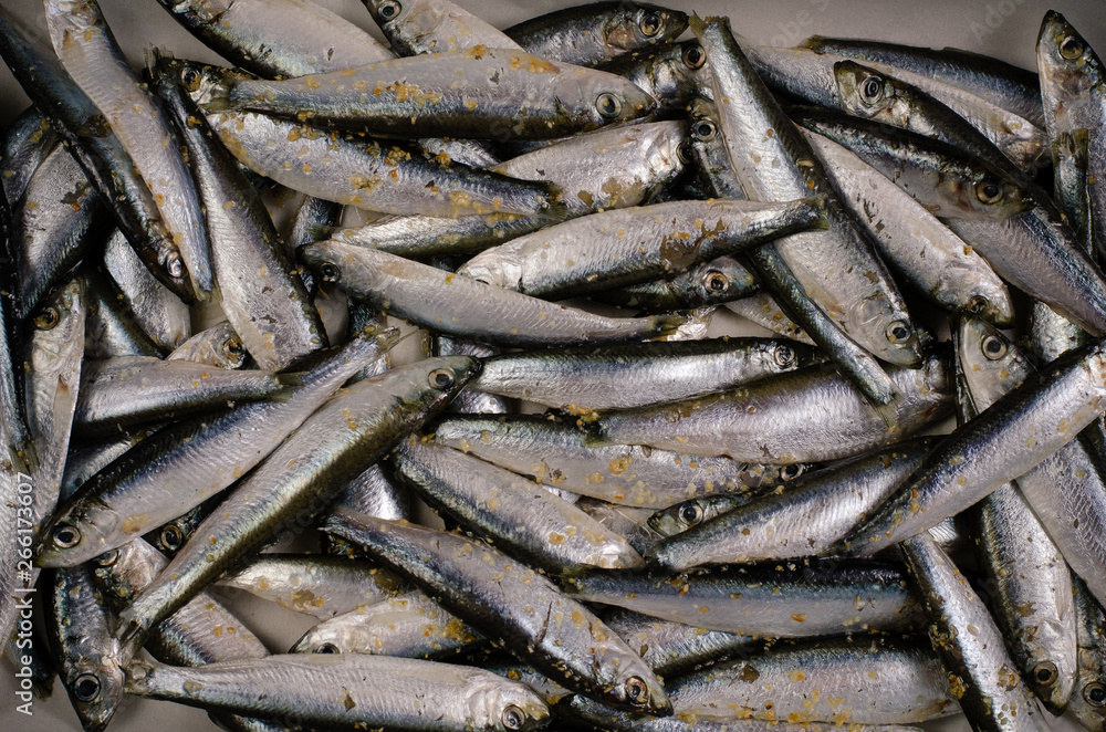 White sprats prepared for cooking White sprats prepared for cooking