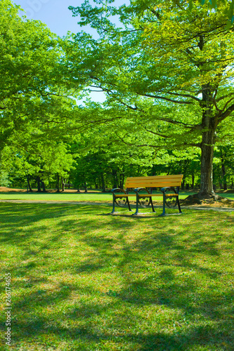 Park bench