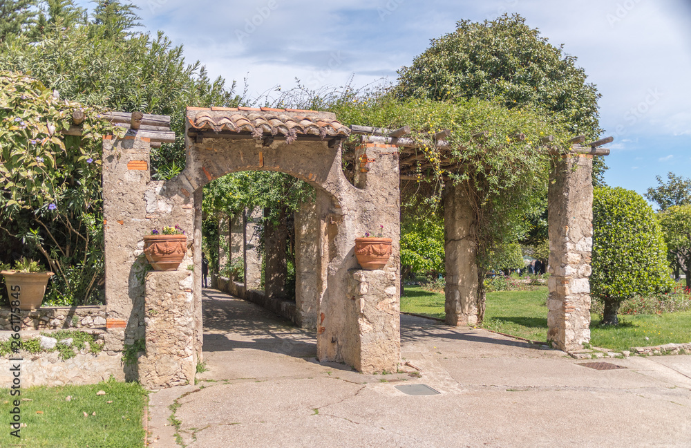 Roseraie des jardins du monastère de Cimiez à Nice