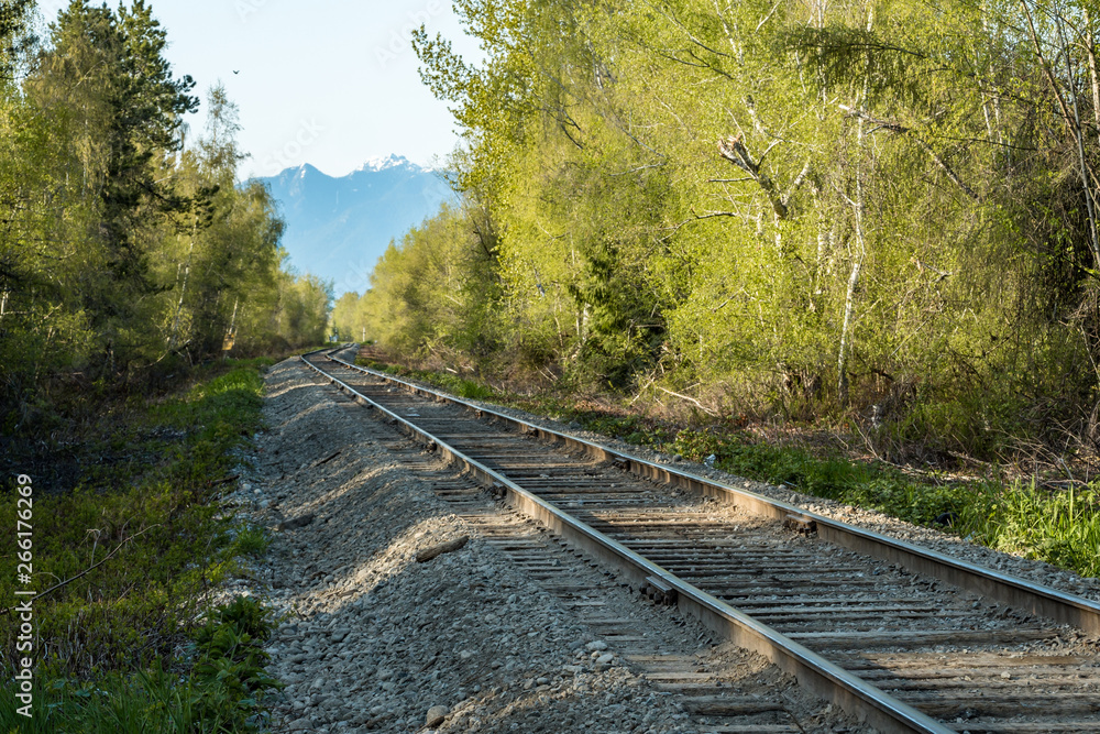 single railroad track pass through forest with green trees on both sides and mountain range on the background single railroad track pass through forest with green trees on both sides and mountain range on the background