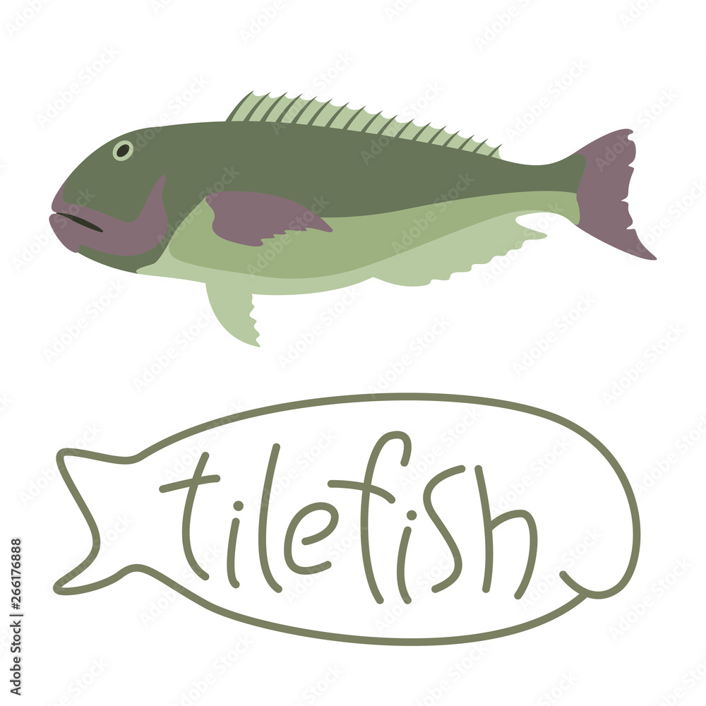 Obraz premium tile fish, vector illustration,flat style,
