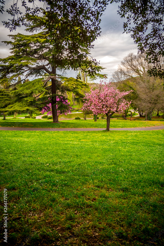 Naklejka premium Villa Borghese Gardens in Rome
