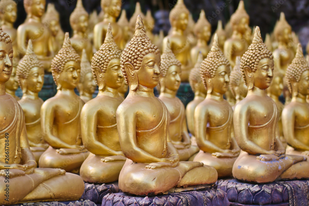 Fototapeta premium Vientiane Province: 02 May 2019, Buddha statue in Wat Sinxayyaram, the Buddhism garden, Laos