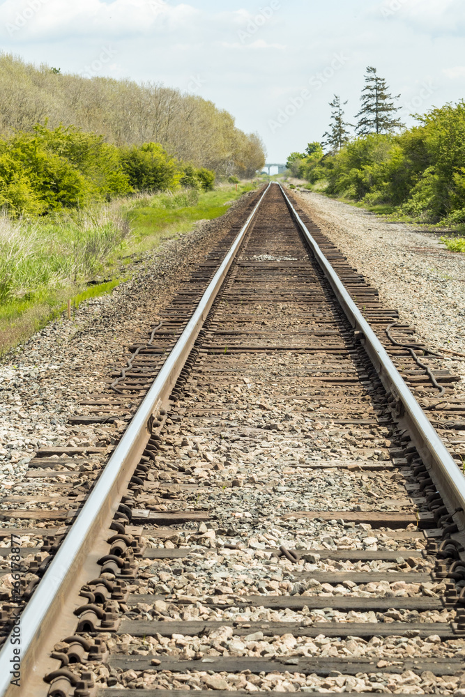 a railroad tracking lead to the far side with green trees and bushes on both sides under overcast sky