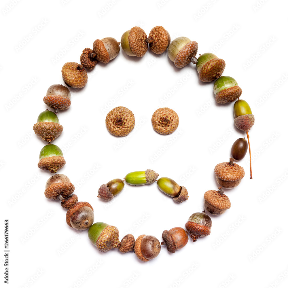 Autumn smiley. Sign is laid out of acorns Autumn smiley. Sign is laid out of acorns