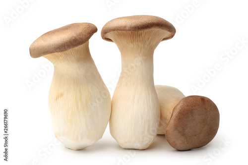 Pleurotus eryngii mushrooms photo