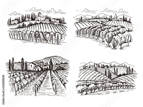 Vineyard. Old france chateau wine landscape hand drawn vector illustrations for labels design projects. Winery landscape, vineyard farm