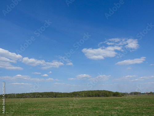 Green field and blue sky with clouds. Beautiful landscape.