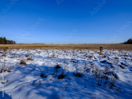 snow covered fields in countryside