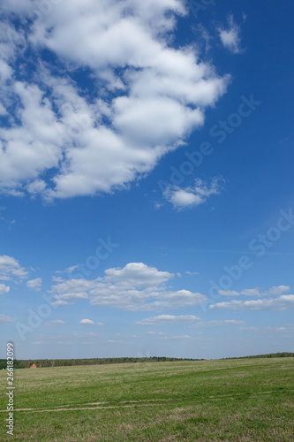 Green field and blue sky with clouds. Beautiful landscape.
