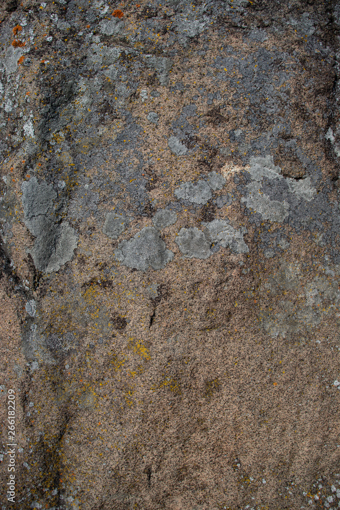 stones photographed close-up, spring beautiful gray texture stones photographed close-up, spring beautiful gray texture