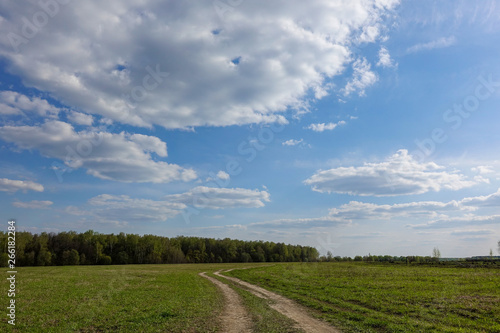 Green field with country road, and blue sky with clouds. Beautiful rural landscape