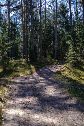 empty gravel dust road in forest with sun rays and shadows © Martins Vanags