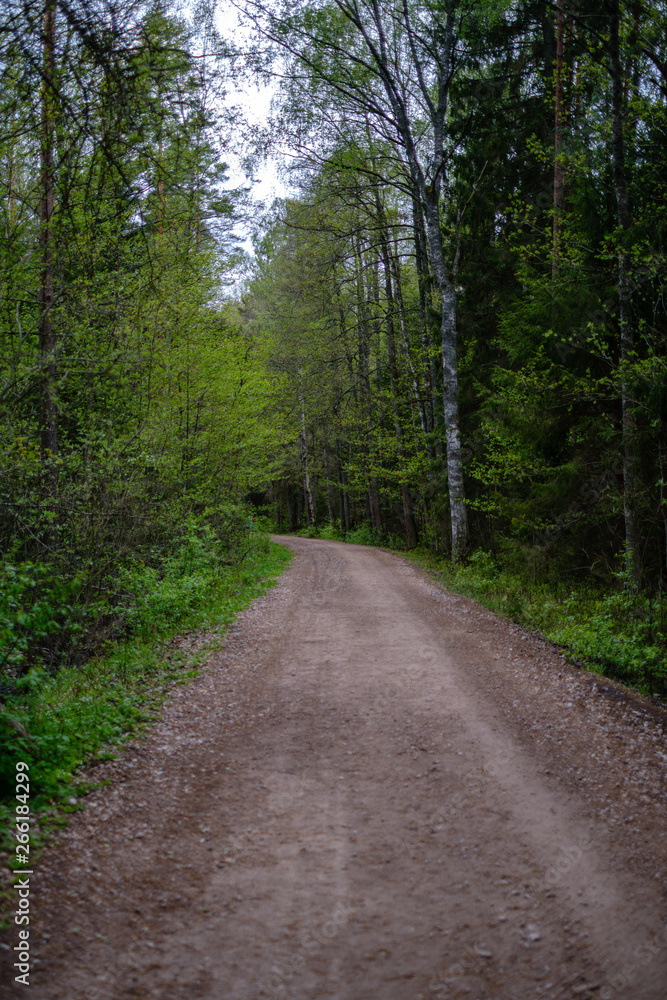 empty gravel dust road in forest with sun rays and shadows empty gravel dust road in forest with sun rays and shadows