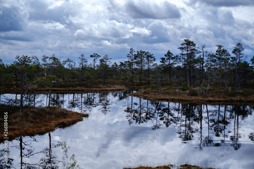 swamp lakes with reflections of blue sky and clouds in National Nature Park Kemeri in Latvia