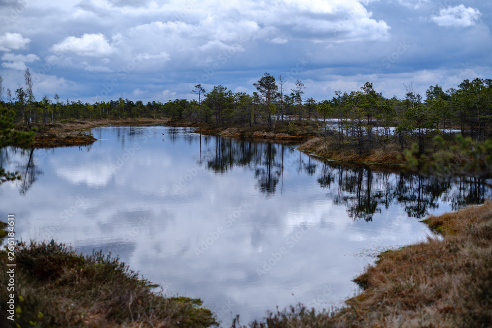 swamp lakes with reflections of blue sky and clouds in National Nature Park Kemeri in Latvia swamp lakes with reflections of blue sky and clouds in National Nature Park Kemeri in Latvia