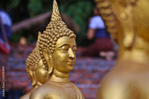 Vientiane Province  02 May 2019  Buddha statue in Wat Sinxayyaram  the Buddhism garden  Laos