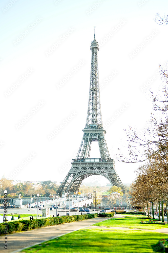 Fototapeta premium Eiffel Tower