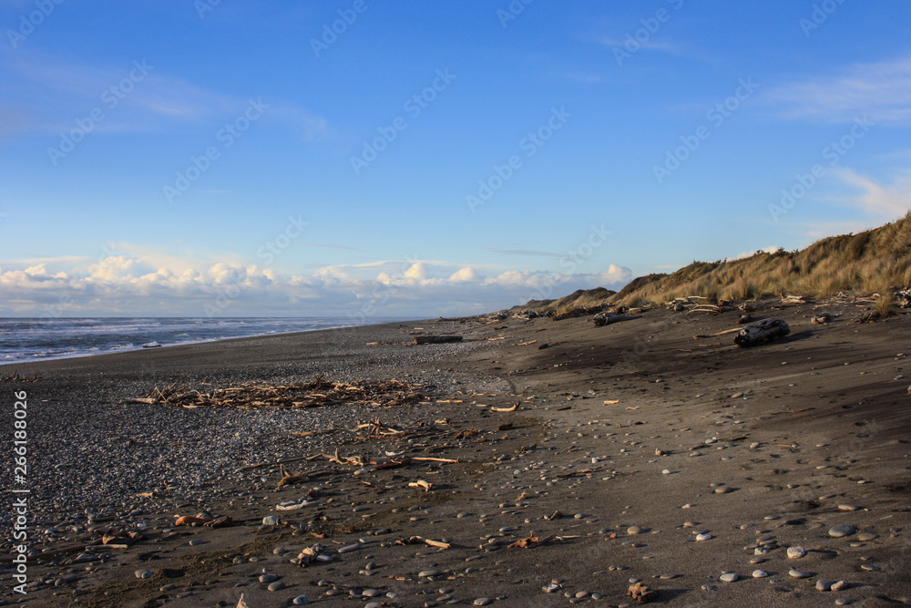 Dry driftwood on a beach during sunset on the west coast of the South Island, New Zealand Dry driftwood on a beach during sunset on the west coast of the South Island, New Zealand