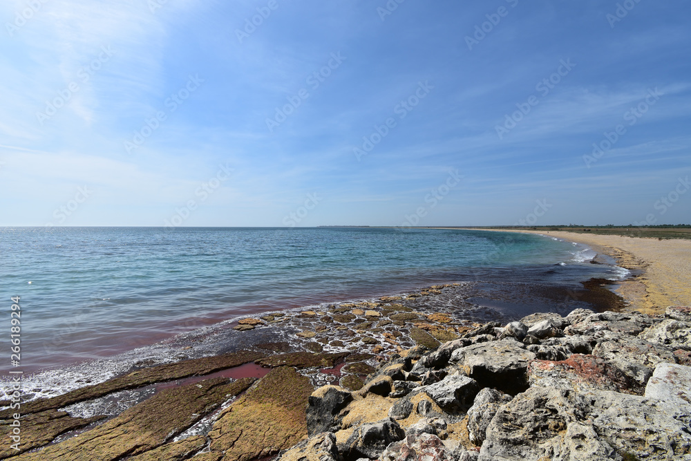 Seaweed pollution by Durankulak Beach, Black Sea, Bulgaria