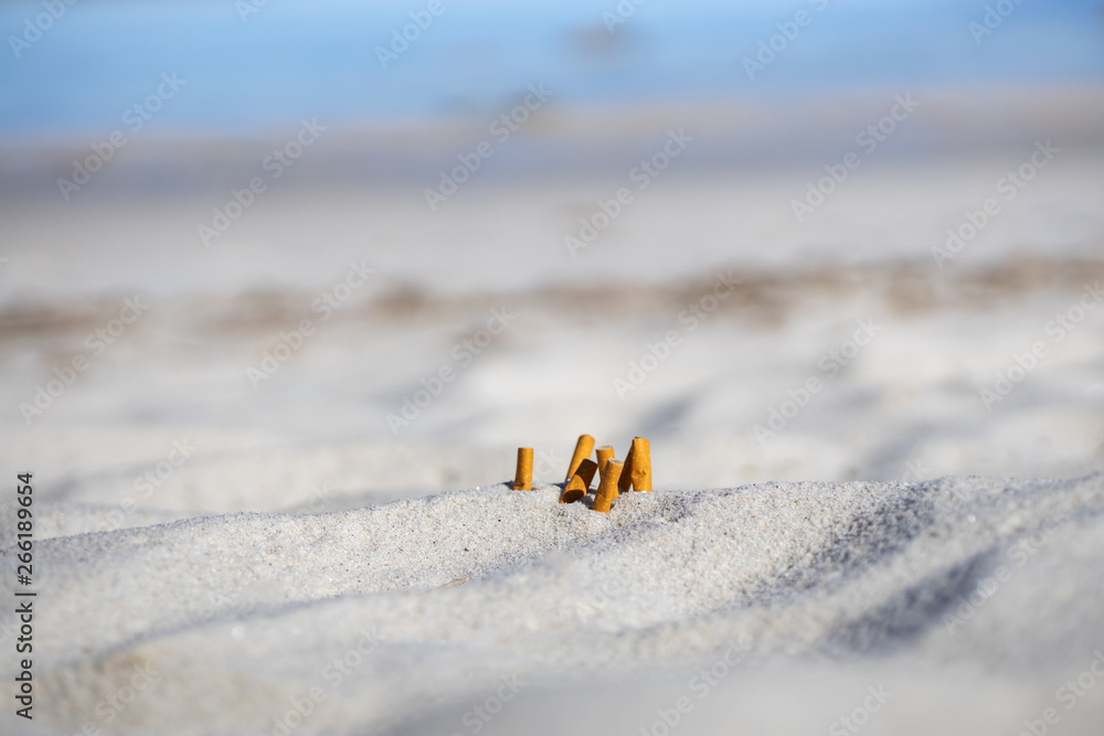 Obraz premium Waste on the beach