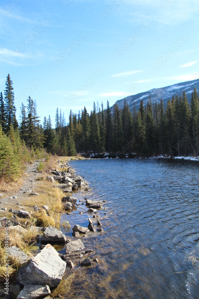 Path Along The Beaver Pond, Nordegg, Alberta Path Along The Beaver Pond, Nordegg, Alberta
