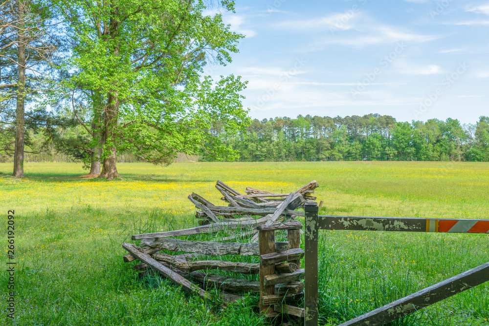 An old wooden fence leads into a pasture on a sunny spring day.