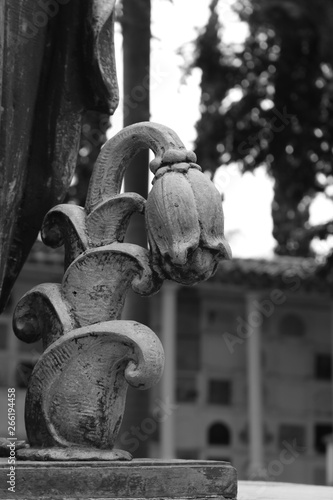 Museo Cementerio San Pedro photo