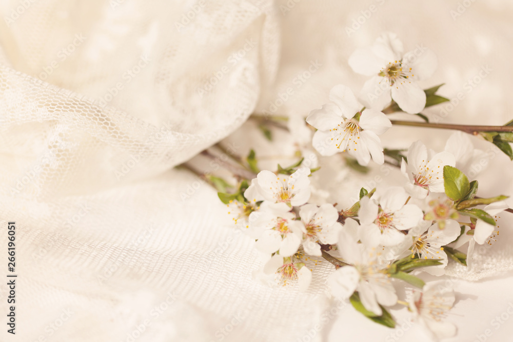 White spring flowers White spring flowers